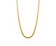 Colar Corrente Fina Lacraia Laminada Achatada Banho de Ouro 18K, Dourado | WestwingNow