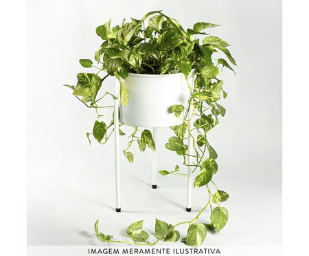 Suporte de Plantas com Vaso Humaitá 2.0 Branco | Westwing