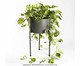 Suporte de Plantas com Vaso Humaitá 2.0 Cinza, grey | WestwingNow