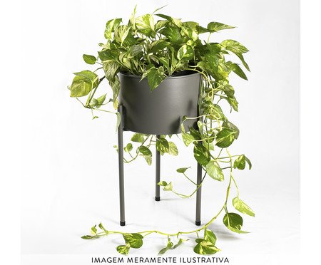 Suporte de Plantas com Vaso Humaitá 2.0 Cinza | Westwing