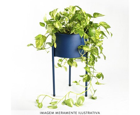 Suporte de Plantas com Vaso Humaitá 2.0 Azul | Westwing