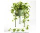 Suporte de Plantas com Vaso Humaitá 2.0 Verde Oliva, green | WestwingNow