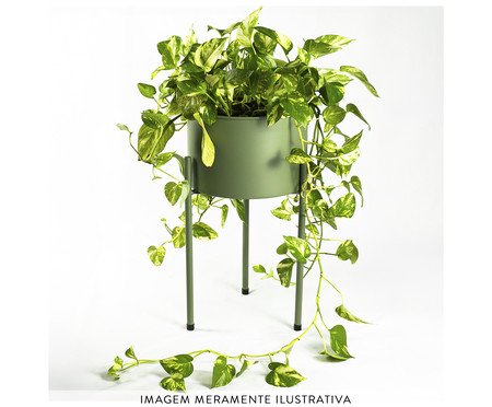 Suporte de Plantas com Vaso Humaitá 2.0 Verde Oliva | Westwing
