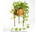 Suporte de Plantas com Vaso Humaitá 2.0 Terra Cota, Terracotta | WestwingNow