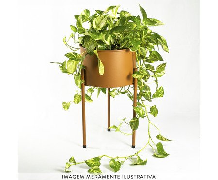 Suporte de Plantas com Vaso Humaitá 2.0 Terra Cota | Westwing