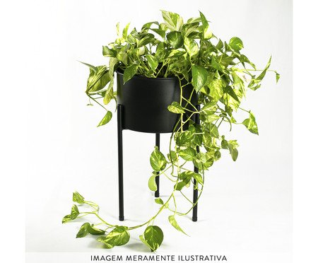 Suporte de Plantas com Vaso Humaitá 2.0 Preto | Westwing