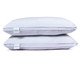 Kit com 2 Travesseiros Siliconizado Toque de Plumas, white | WestwingNow