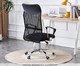 Cadeira Giratoria Office Executive Em Malha Preto, black | WestwingNow