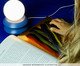 Luminária de Mesa Trenzin 1 Azul, Azul | WestwingNow