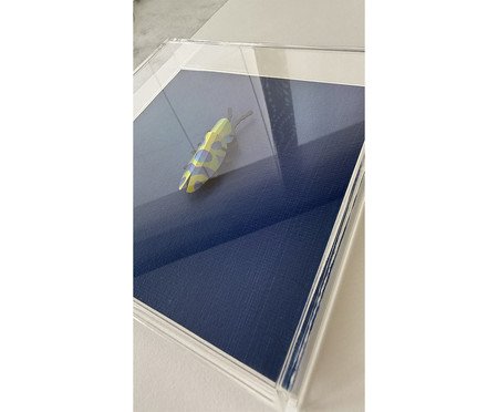 Quadro Besouro Azul Marinho 3D - 20x20 cm | Westwing