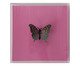 Quadro Borboleta Rosa 3D - 20x20 cm, Rosa | WestwingNow
