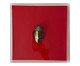 Quadro Besouro Vermelho 3D - 25x25 cm, Vermelho | WestwingNow