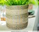 Cachepot Neri Fibra Natural, Bege | WestwingNow