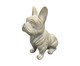 Escultura Bulldog Francês Bege Patinado, beige | WestwingNow