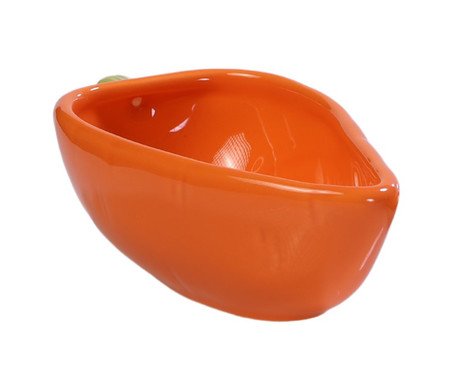 Bowl Cenoura Seletta | Westwing