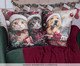 Almofada Natalina Cats, multicolor | WestwingNow