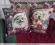 Almofada Natalina Dog Spitz, multicolor | WestwingNow