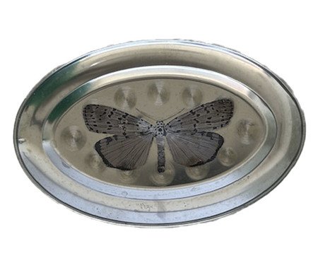 Prato Oval Butterfly Prata | Westwing