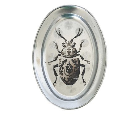Adorno Prato Oval Besouro Jóia Prata | Westwing