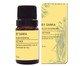 Óleo Essencial Vetiver - 5ml, Multicolorido | WestwingNow