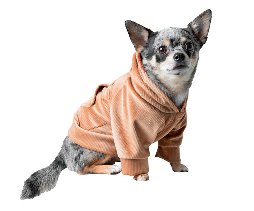 Jaqueta para Pet em Veludo - Caramelo, Bege | WestwingNow