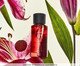 Eau de Parfum Stop It I Love - 100ml, Âmbar | WestwingNow