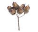 Palito Decorativo Nozes, brown | WestwingNow