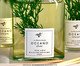 Difusor com Varetas Oceano - 150ml, transparent | WestwingNow