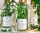 Home Spray Fresh Garden - 250ml, transparent | WestwingNow