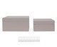 Kit Caixas em Em Mdf Com Revestimento em Pu 2 Pçs, grey | WestwingNow