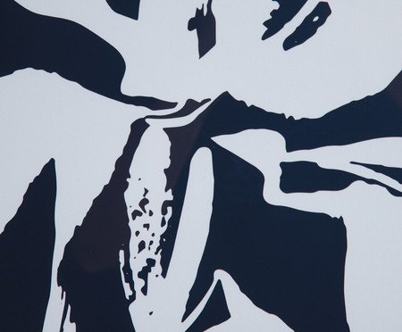 Quadro Decorativo Serena | Westwing