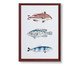 Quadro Decorativo Pescaria, multicolor | WestwingNow