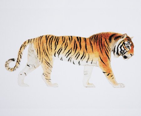 Quadro Decorativo Selva de Dentro | Westwing