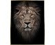 Quadro Canvas Preto e Marrom Lion, black | WestwingNow