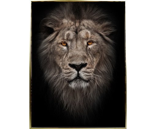 Quadro Canvas Preto e Marrom Lion, black | WestwingNow