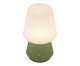 Luminária de Mesa Recarregável Bivolt Bloom Verde, green | WestwingNow