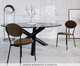 Cadeira Vintage Elipse Veludo Sand, brown | WestwingNow