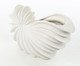 Vaso Decorativo Concha Branco Fosco, white | WestwingNow