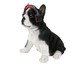 Adorno Decorativo Bulldog Music, multicolor | WestwingNow