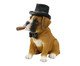 Adorno Decorativo Bulldog Fancy, multicolor | WestwingNow