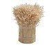 Aranjo Decorativo de Flores Secas Asker, undefinable | WestwingNow