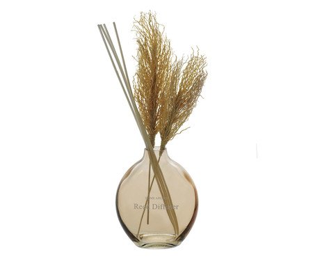 Difusor com Flores Secas Hasad | Westwing