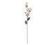 Flor Artificial Rosa Dolohov, multicolor | WestwingNow