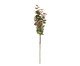 Flor Artificial Decorativa Eucalipto Mavramorn, multicolor | WestwingNow