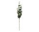 Flor Artificial Decorativa Eucalipto Uinen, green | WestwingNow