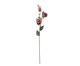Flor Artificial Rosa Nott, multicolor | WestwingNow