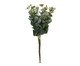 Flor Artificial Decorativa Eucalipto Mckinnon, green | WestwingNow