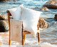 Capa de Almofada Bordada Trancoso-Ba 200 Fios, beige | WestwingNow