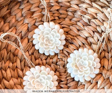Adorno Decorativo Conchas Lari | Westwing