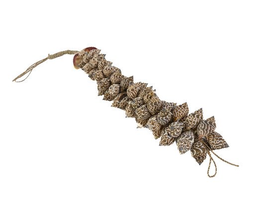 Adorno Decorativo Conchas Daro, Natural | WestwingNow
